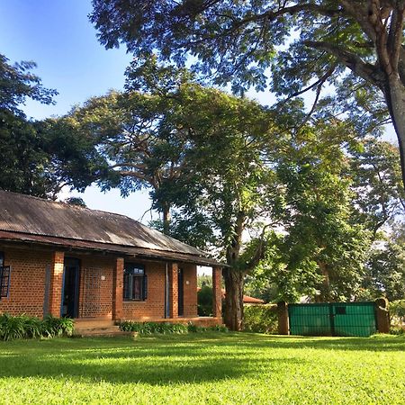 Africawildtruck Eco Camp & Lodge Mulanje Ngoại thất bức ảnh